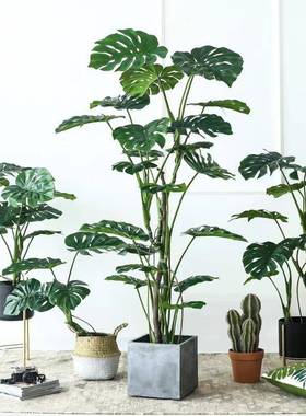 大型橱窗室假背树假绿龟植装仿真内植物盆景地面饰OGU摆件仿真龟