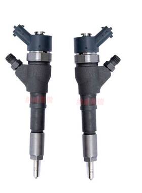 0445110076 共轨喷油器 喷油器总成 汽车喷油嘴 0445 110 076