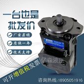 Denison丹尼逊叶片泵T7B B10 T7BS 1R00 A1M0