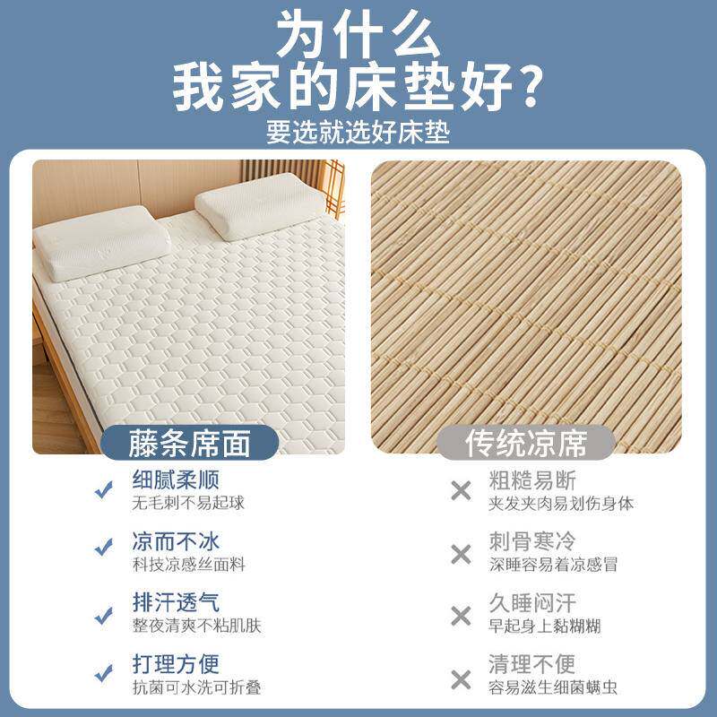 床垫软垫学生宿舍床褥子榻榻米垫子可折叠冬夏双面冰藤席睡垫