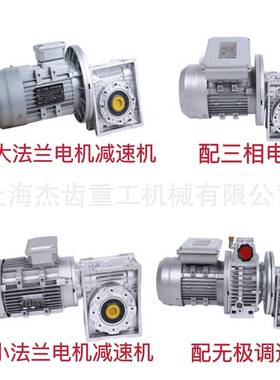 NMRW030-15-0.09KW蜗轮蜗杆减速机带直流伺服电机