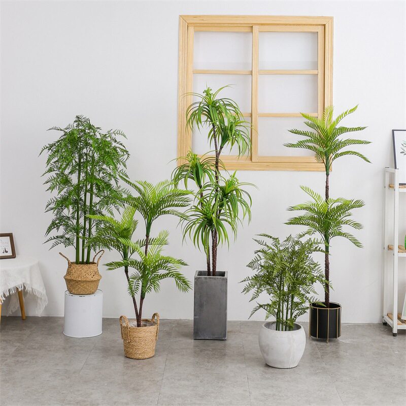 仿真珍珠葵盆栽室内仿真绿植布景人造手感葵树珍珠葵文竹波斯竹