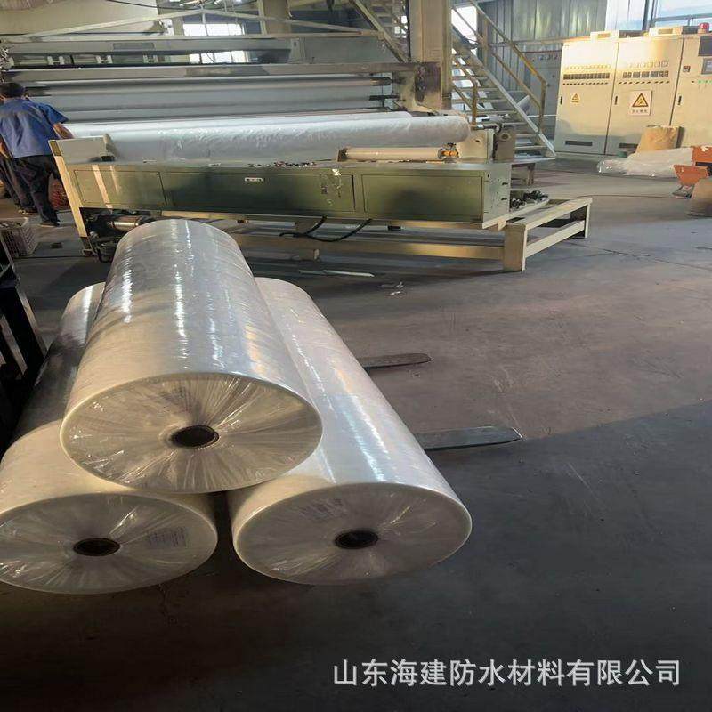 防寒无纺布透气保湿防虫PP覆盖农用无纺布果蔬水稻育秧育苗无纺布