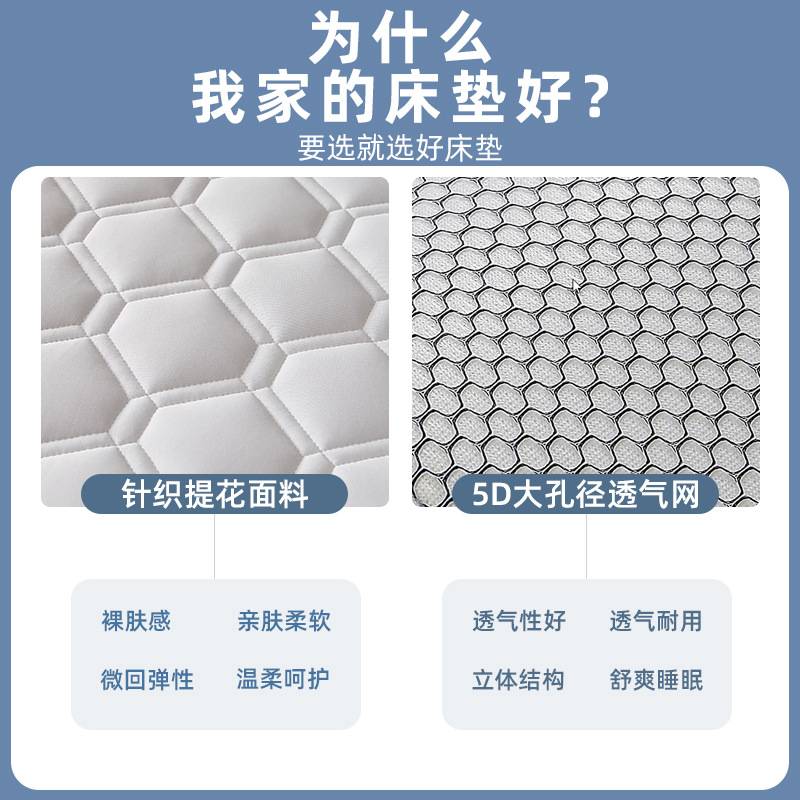 新款床垫子乳胶床垫宿舍床垫学生租房加厚褥子软垫家用打地铺神器