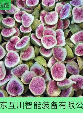 无花果低温真空冻干机苹果冷冻干燥机芒果百香果粒冻干设备
