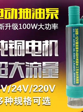 电动抽油泵12V柴油m泵24V220v抽水泵3.9cm超细潜水两用自吸油抽子