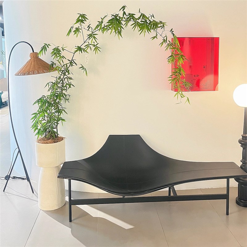 老桩小叶a簕竹阳台室内外桌面勒竹熟树桩绿植花园盆景竹子一物一