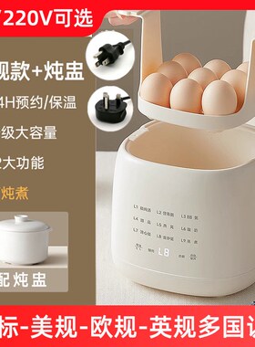 110V220V煮蛋器美欧英规台湾用多功能蒸蛋器香港家Y用小型早餐机