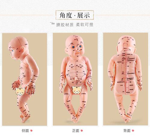 儿童人体模型小儿推拿按摩教学仿真月嫂培训娃娃中医针灸穴位清晰