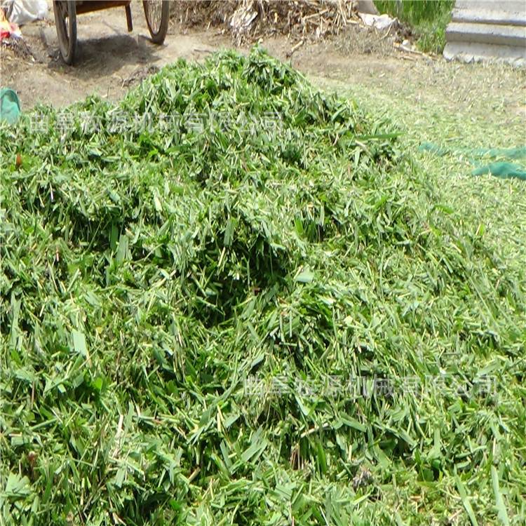 铡草揉丝粉碎一体机厂家 玉米秸秆粉碎切草机价格 家用切草机