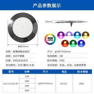 跨境水不式 UT25挂下灯智能pp全灌胶 锈钢泳池灯IP68防水超薄壁DLX