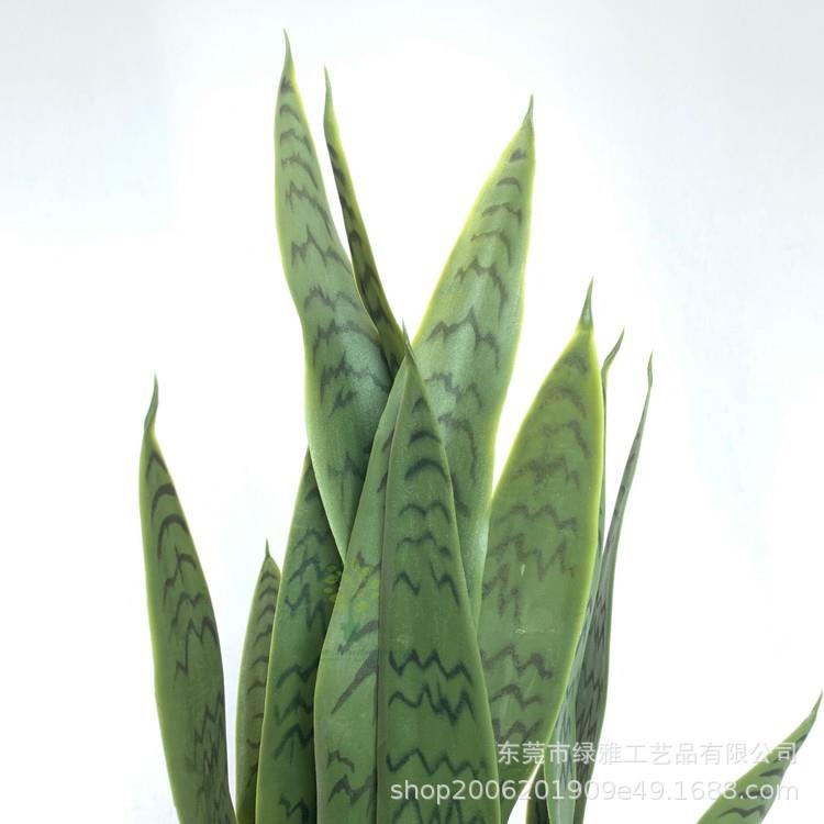 仿饰真植LYHPL001仿真虎皮兰绿植绿摆件家居装厂家真植仿物盆栽