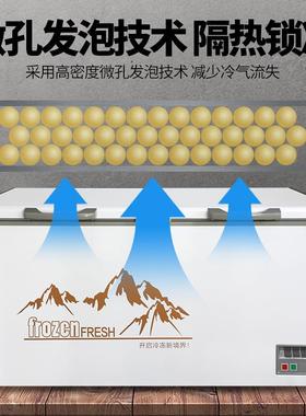 大容量卧式冰柜商用藏冷冻YCG双温冷柜速箱鲜柜冷冻冰保雪糕柜柜