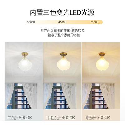 过道入走灯廊22040灯具现代奢简约吸顶灯法式轻水晶衣帽间户玄关