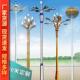 高杆米灯景观灯路灯6米华79米10兰米户外灯广场WZW灯太阳能中灯玉