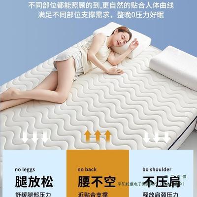 乳胶BQX垫软垫家用卧室绵垫学被生床宿舍单人床海褥子租房榻榻米