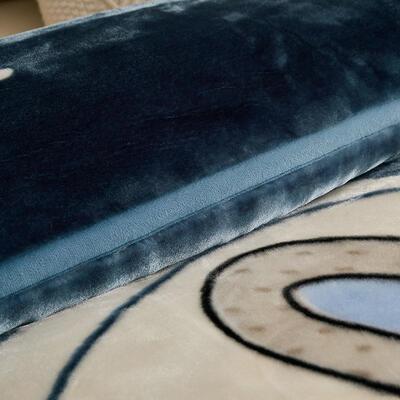 拉0061舍尔毛加厚双层被子单人人婚保暖珊瑚绒秋冬毯加绒床单双庆