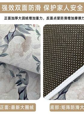 入户门地垫轻奢F775M758简进门地用毯客玄厅关门垫家约耐脏门口防