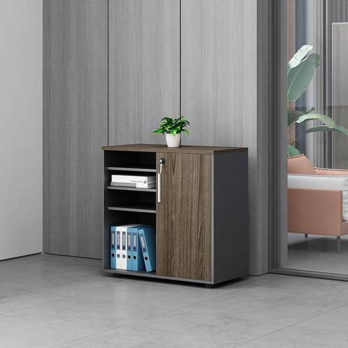 办公文件柜储室物矮柜置木物办柜书柜4998451带锁质花槽柜公柜杂