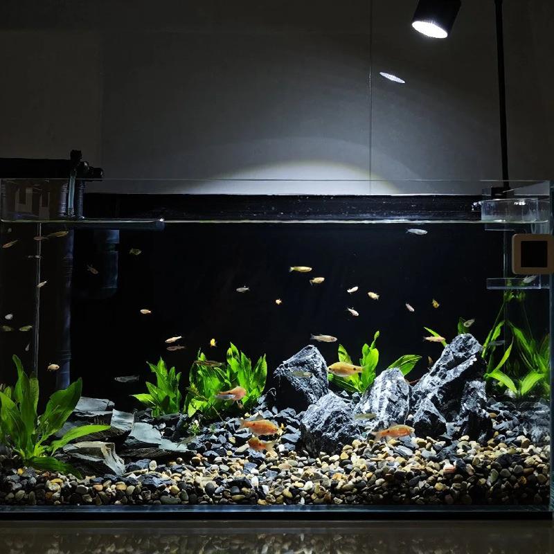 深纯色景蓝鱼缸背纸 高清海鲜池背景贴饰EPX纸 不干胶水族箱装贴