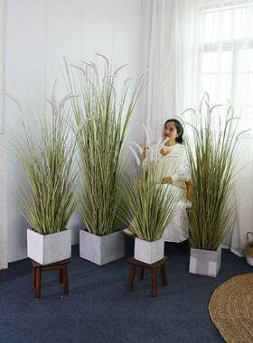仿真绿厅植狗MYF-1811尾草假芦苇草巴落地盆栽客装饰盆景室内植物