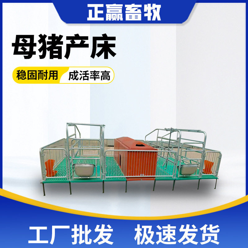 厂家现货母猪产床产保两用双体母猪分娩栏全复合仔猪产床养殖设备