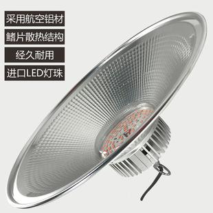 全光谱植物灯生长灯工矿灯室内光花卉育苗大棚温室L多D肉GUSE补灯