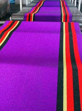 .2*9米毛刺底雪丝脚垫通用汽1IVC车脚垫卷材尼防滑脚垫踏垫自由剪