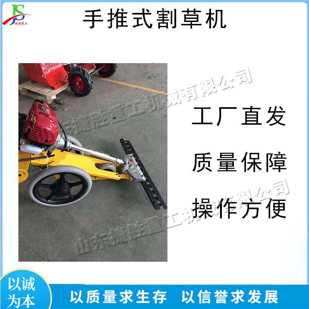 小型手推式割草机 四冲程汽油动力除草机 农用果园树林剪草机,鲜花速递/花卉仿真/绿植园艺,割草机/草坪机,淘宝优惠券,粉丝福利购,淘宝优惠卷