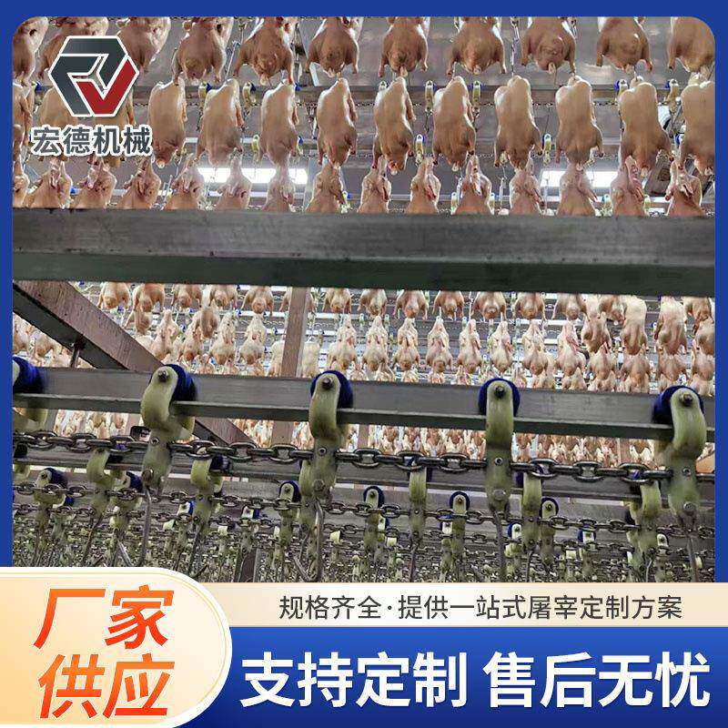 杀淘汰蛋鸡流水线家禽自动脱毛生产线定点杀鸡屠宰流水线