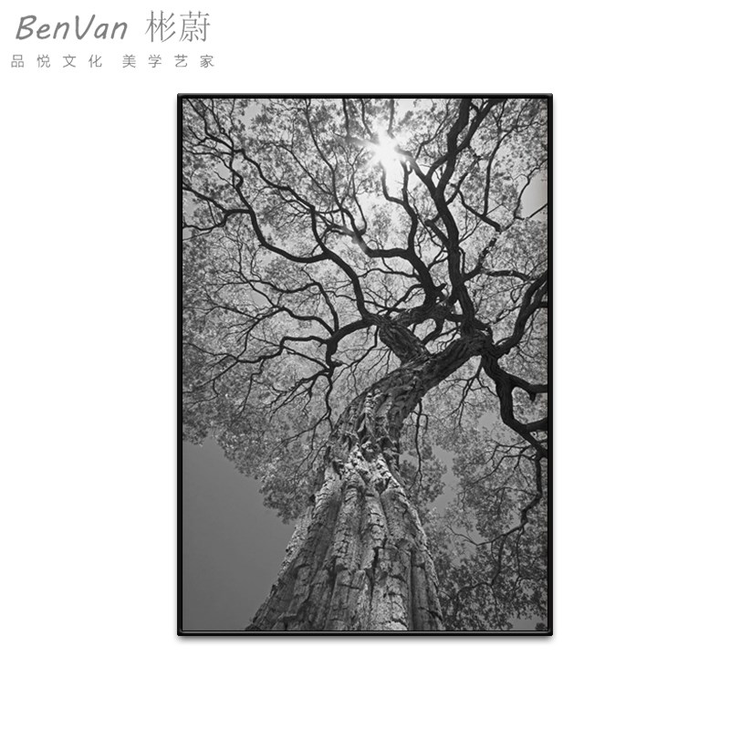 墨容玄关酒店创意装饰画客厅树挂画现代简约O定制极简年轮墙画定图片