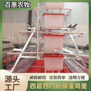 养殖场用层叠设四层四门蛋鸡养笼设备式 EVP笼鸡备 镀锌多层阶梯式