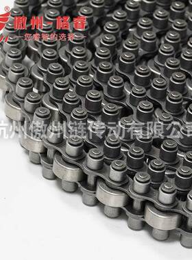 链单倍速链12BS托盘输送线机千340鸟型工业组装械08BS-27-C1/6P16