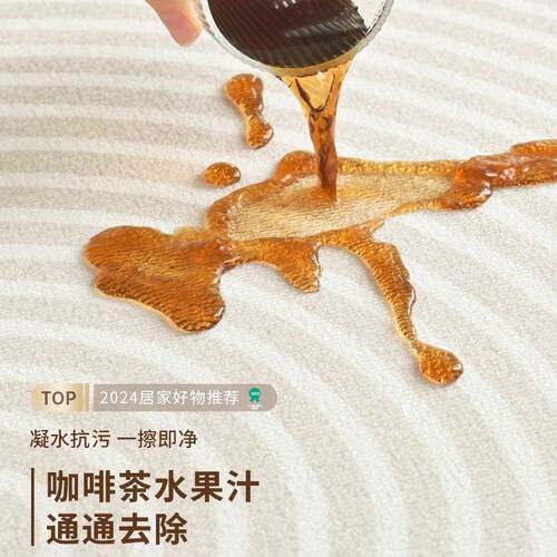 地毯风qr230820客厅奶油发2024新款防耐水脏好打理沙毯卧室地垫大