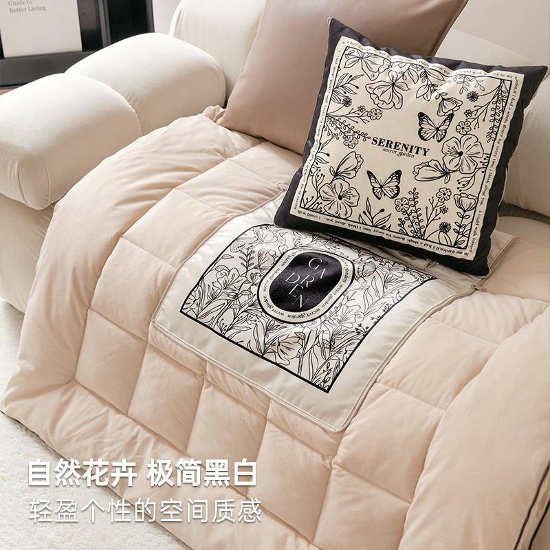 白印F77MH6SM象家用布艺沙发抱被合子二一车载两用午睡枕毯子折叠