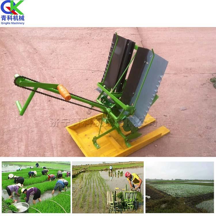 式小面积水SBC稻插秧机手摇成插秧水稻机秧苗种植机秧苗活率高