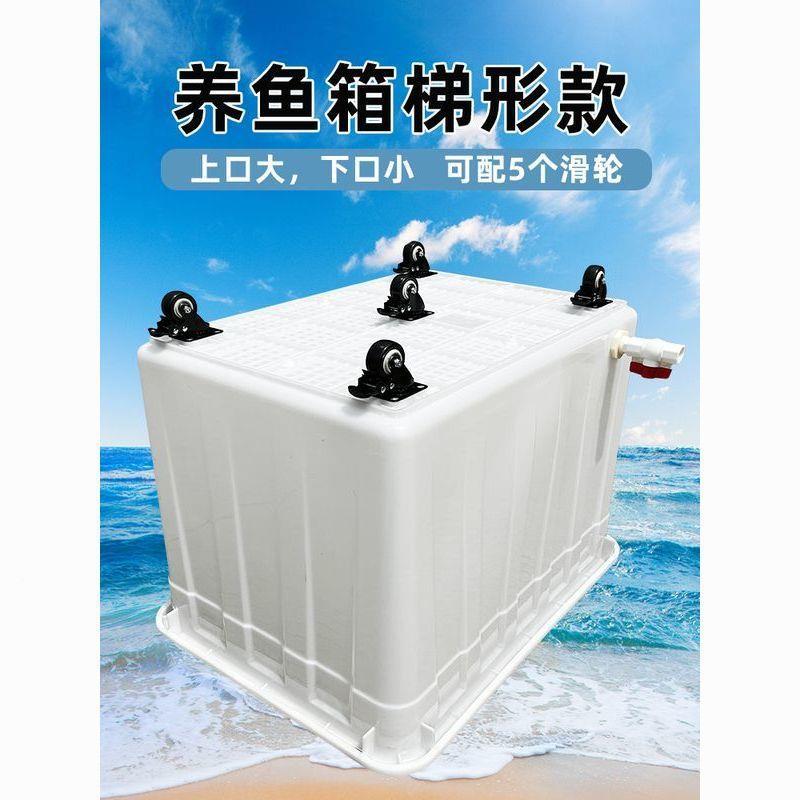 特大号孔带轮子周转箱养龟带产排水口轱养鱼水箱JIZ带水养殖带辘