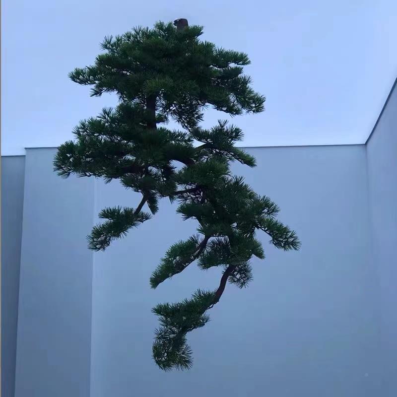 客松仿真松树吊绿挂式假迎树造景倒挂新中式型植装饰松树A003摆件