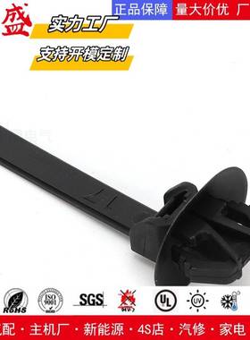 126-00288/PP9104312椭圆孔12*7mm插销式扎带6*160mm/X23/ 500/包