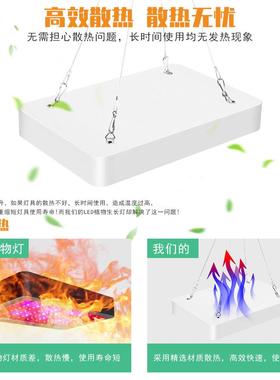 谦多润照明led植物灯全光谱DJT双模植式物补光灯功灯能育苗种植生