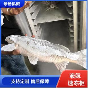 847液速冻机厂家 小速型商用液冻设备榴莲氮速冻柜氮螃蟹大虾柜式