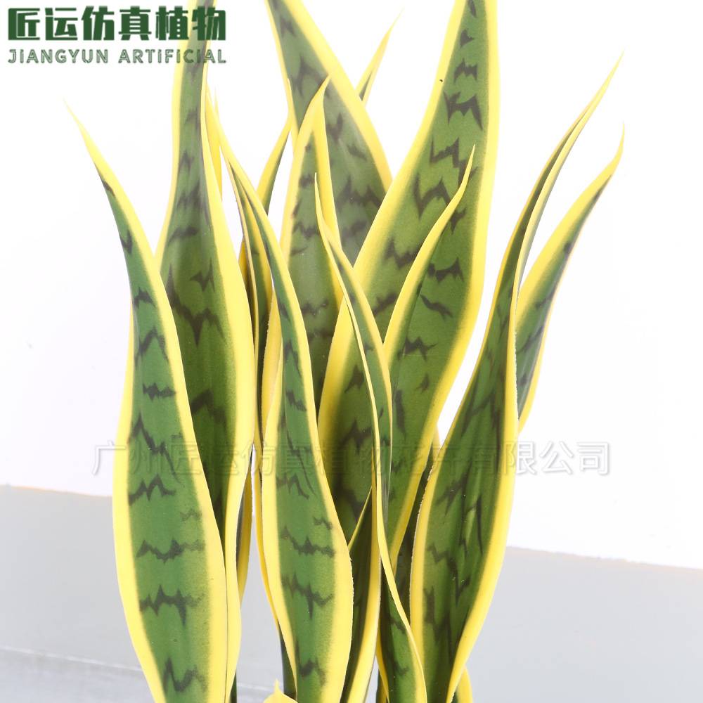 仿真黄边虎皮兰 人造外母舌虎皮兰小摆件造景装饰 仿真虎皮兰