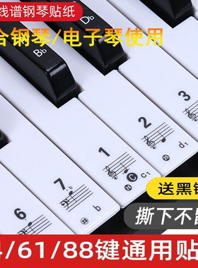 透明88键手卷电钢琴键盘贴纸61 54 49键电子R琴贴五线谱简谱音符