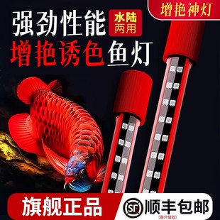龙鱼发色专用灯三基色鱼红水不红神灯LED防水专业诱色增艳鱼缸灯