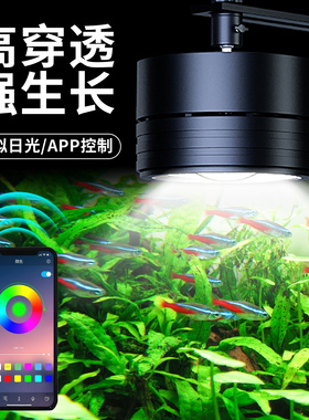 WRGB全光谱鱼缸灯原生溪流专用爆藻水草适配遥控+APP定时超亮增艳