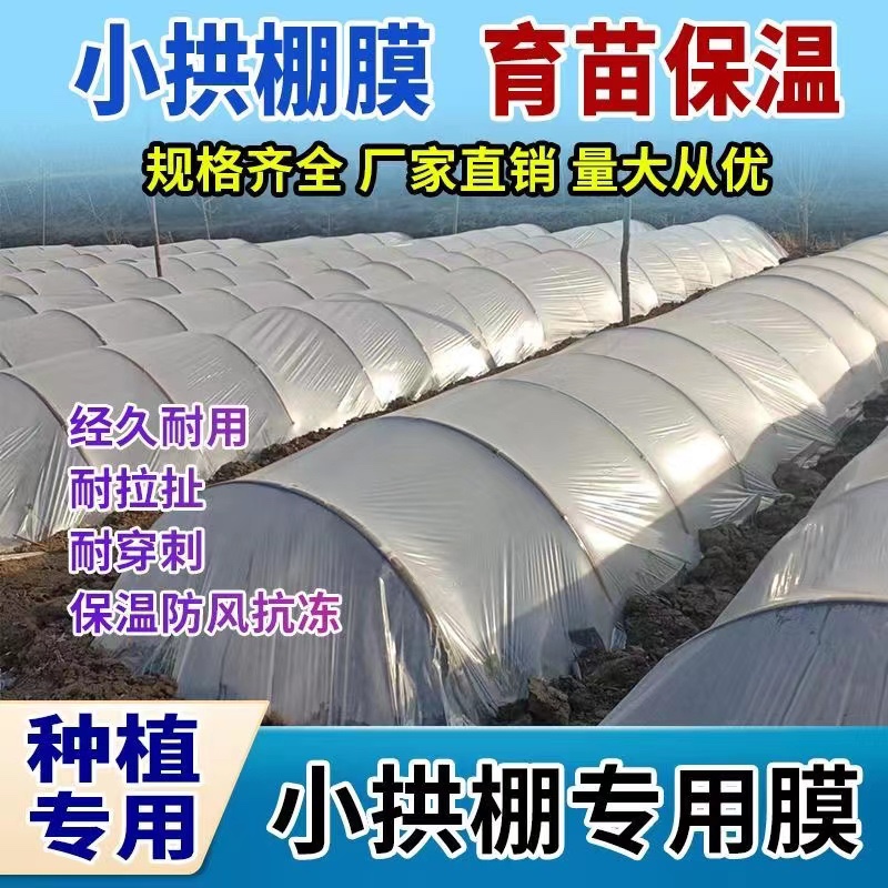 农业种植小拱棚专用膜塑料薄膜小拱棚F全新料保温防寒蔬菜大棚二