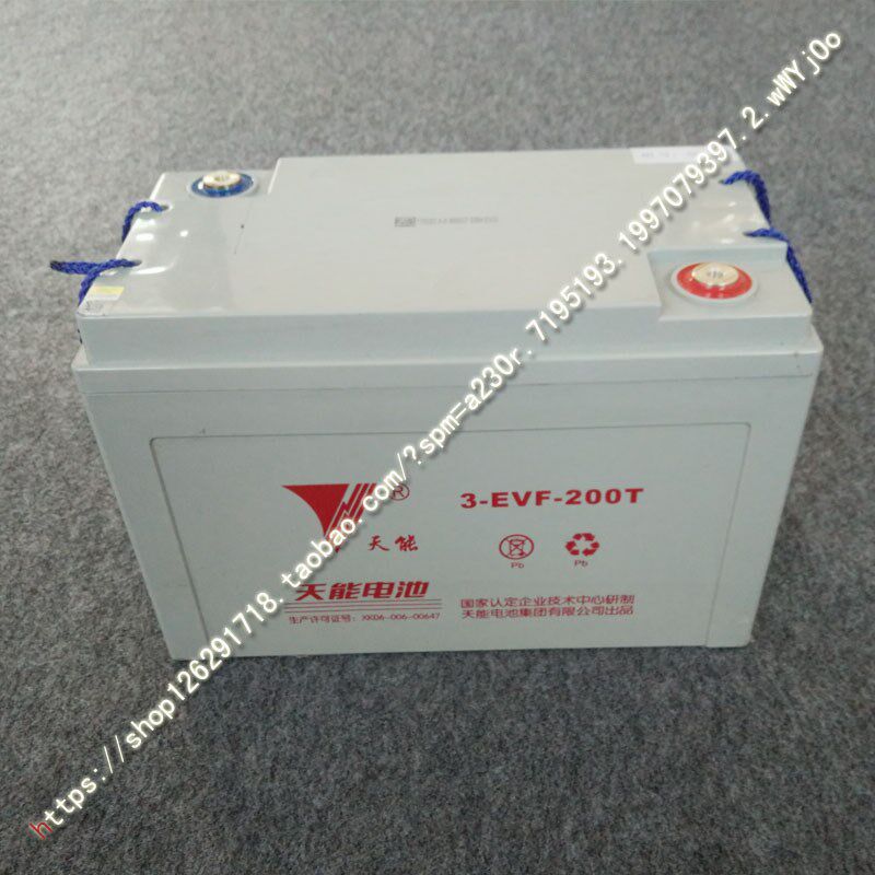时风电动轿车汽车天能电池免维护干电瓶6V200S D101支持以旧换新