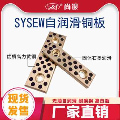 SESW SEW28 38 48 58自润滑滑板模具导板 石墨铜板铜滑块支持定制