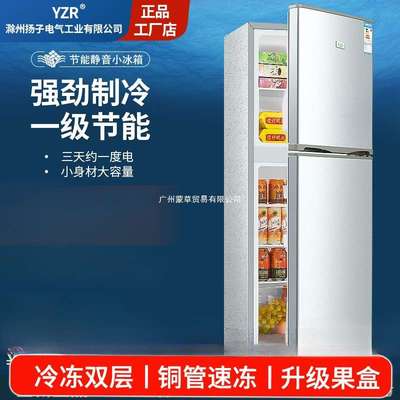 扬子电气小冰箱家用小型冷冻冷藏迷你宿舍出租房二人一级能效节能