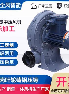 粉尘防爆型鼓风机 气体隔爆式鼓风机 石油化工防爆风机 EXDII BT4
